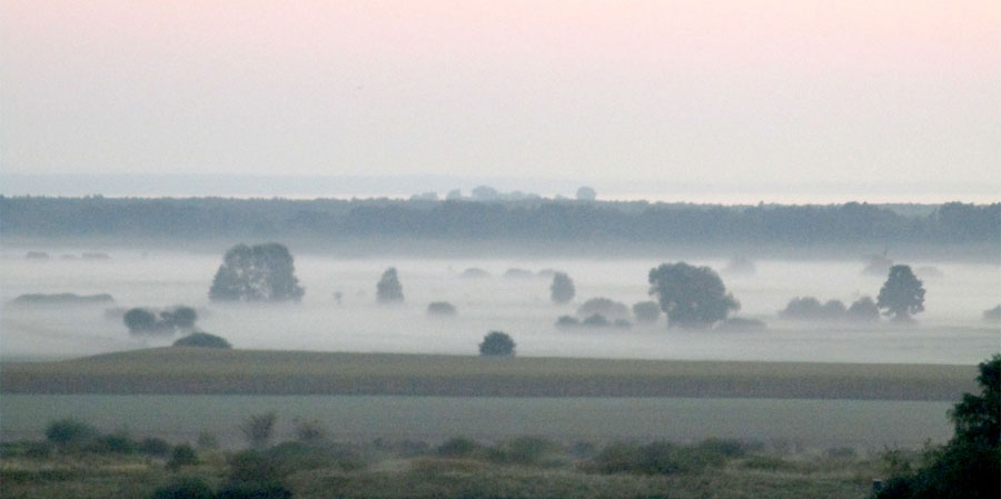 Kapellenhöhe Nebel morgens